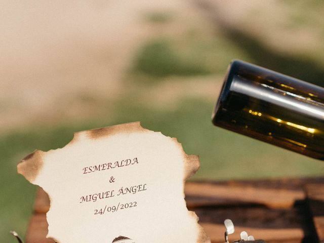 La boda de Miguel Ángel  y Esmeralda  en Talayuela, Cáceres 6