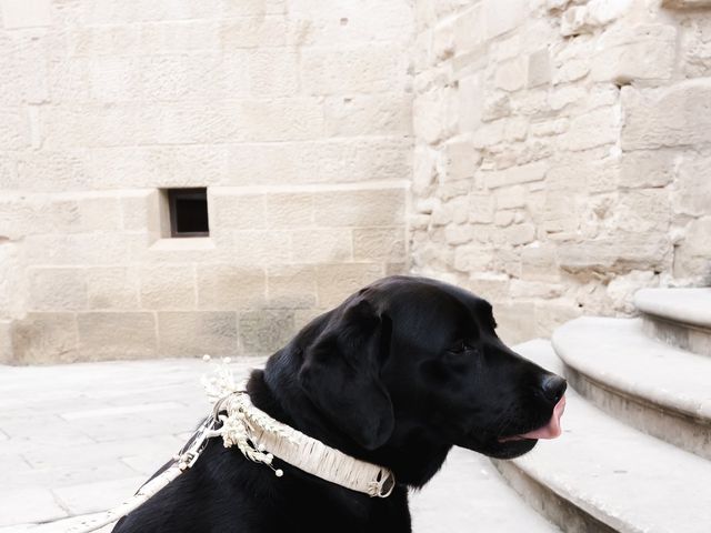 La boda de ALAITZ y BEGOÑA en Logroño, La Rioja 16