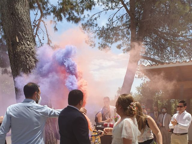 La boda de Sergio y Sole en Ubeda, Alicante 5