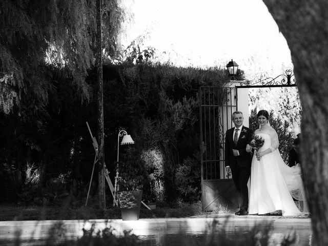 La boda de Thomas y Laura en Museros, Valencia 37