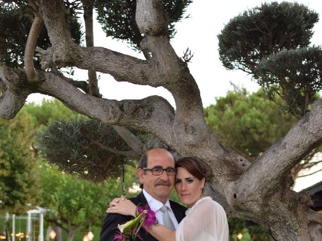 La boda de Ivan y Beatriz en Castejon, Navarra 7