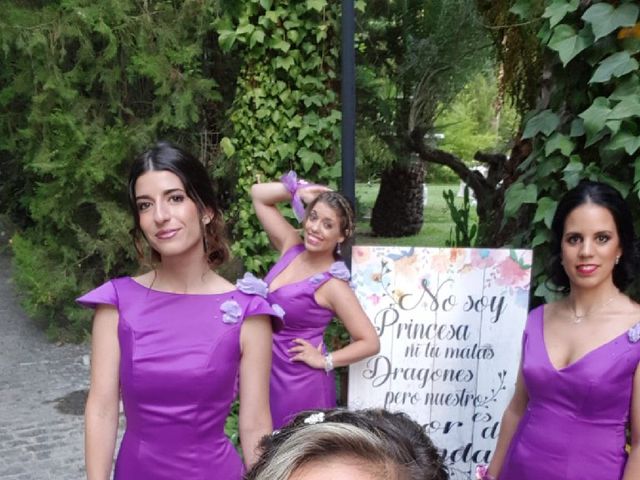 La boda de David y Maria en Santiponce, Sevilla 15