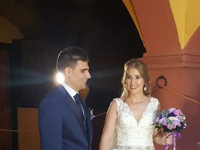 La boda de David y Maria en Santiponce, Sevilla 17