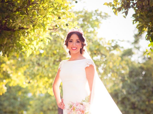 La boda de Andres y Mila en Jerez De La Frontera, Cádiz 21