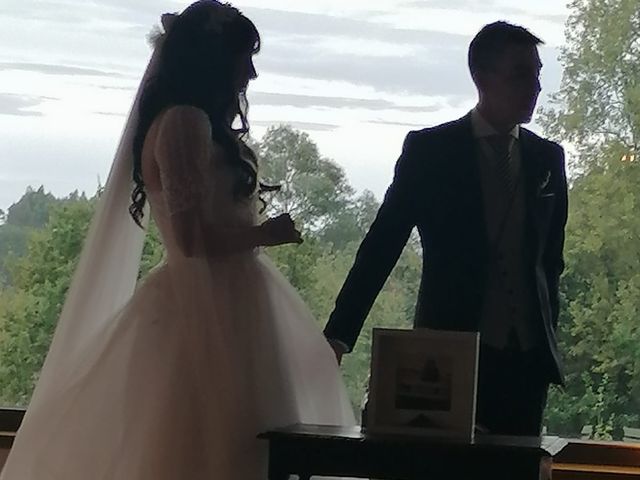 La boda de Hugo y Emma  en Gijón, Asturias 6