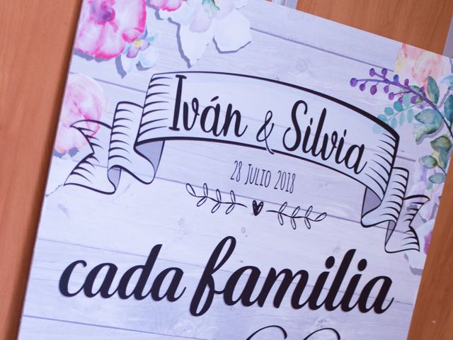 La boda de Ivan y Silvia en Cádiz, Cádiz 22