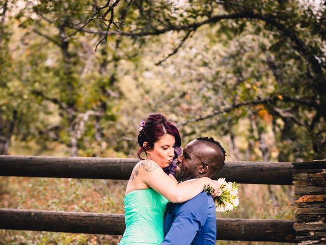 La boda de Titu y Elsa en Campillo De Ranas, Guadalajara 35