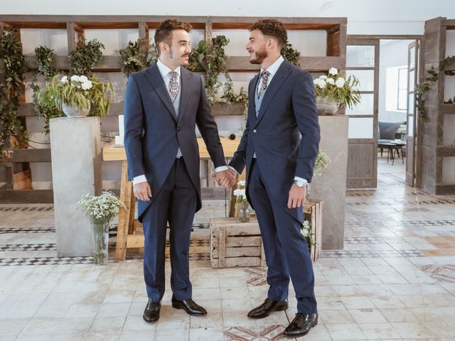 La boda de Alejandro y Carlos en Otero De Herreros, Segovia 13