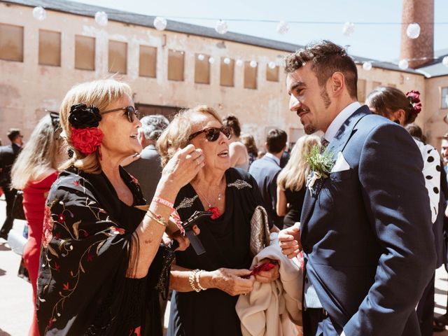 La boda de Alejandro y Carlos en Otero De Herreros, Segovia 35