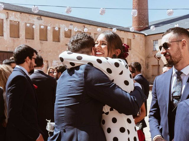 La boda de Alejandro y Carlos en Otero De Herreros, Segovia 38