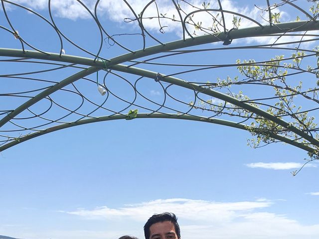 La boda de Lara y Mario  en Peguerinos, Ávila 4