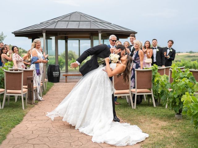La boda de Katherine y Michael en Laguardia, Álava 150