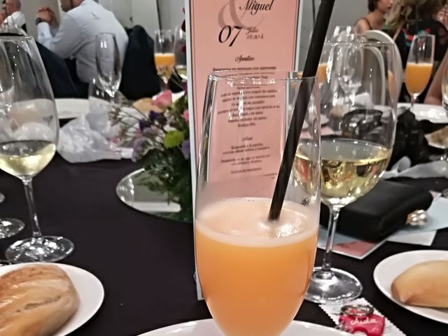 La boda de Miguel y Bárbara en Villaviciosa, Asturias 14