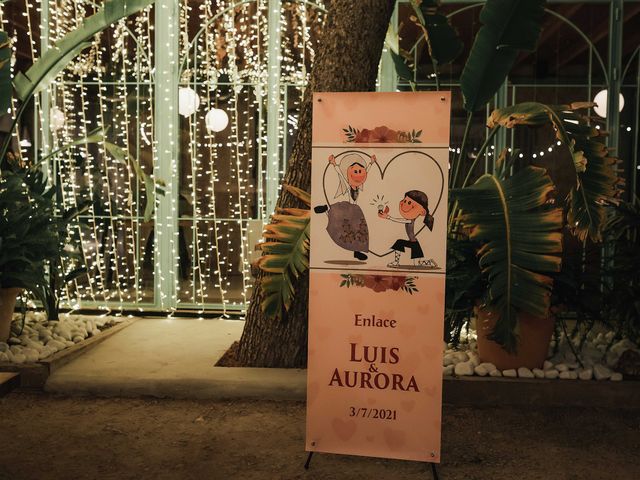La boda de Luis y Aurora en Alacant/alicante, Alicante 243