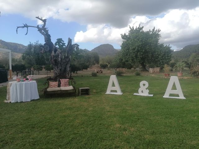 La boda de Andrés  y Alba  en Esporles, Islas Baleares 1