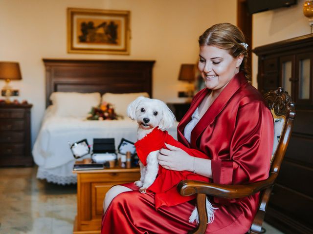 La boda de Benito y Mabel en El Alquian, Almería 4