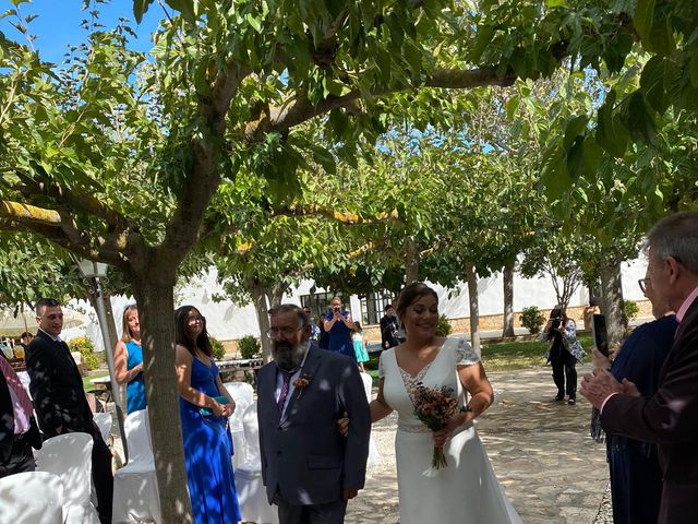 La boda de Carlos y Verònica  en Deltebre, Tarragona 6