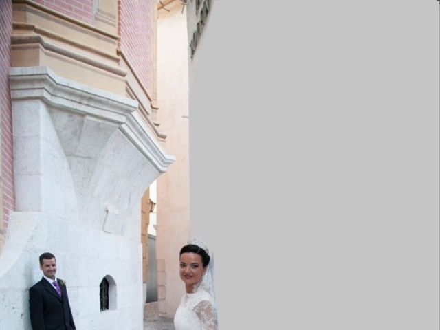 La boda de Javier y Rocío en Alhaurin El Grande, Málaga 16