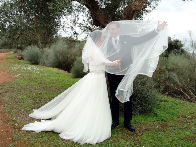 La boda de Jose Luís y Ana Belén en Mérida, Badajoz 28