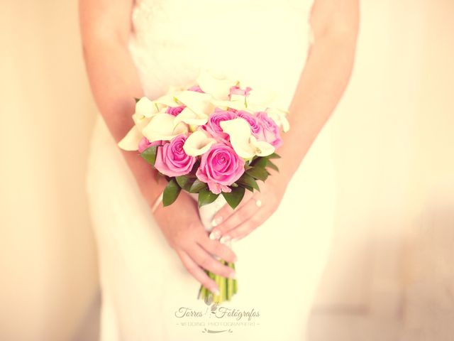 La boda de Fernando y Mari Carmen en Benalmadena Costa, Málaga 16