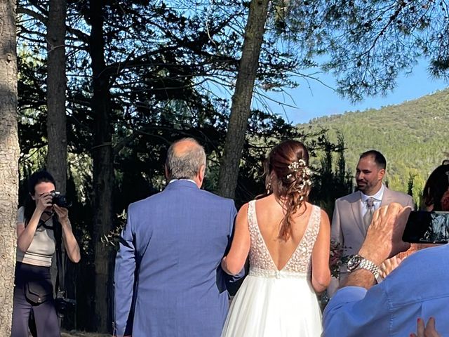 La boda de Dani y Berta  en Olerdola, Barcelona 1