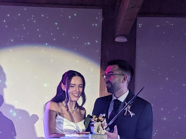 La boda de Adri y Alba en Vilanova Del Valles, Barcelona 15