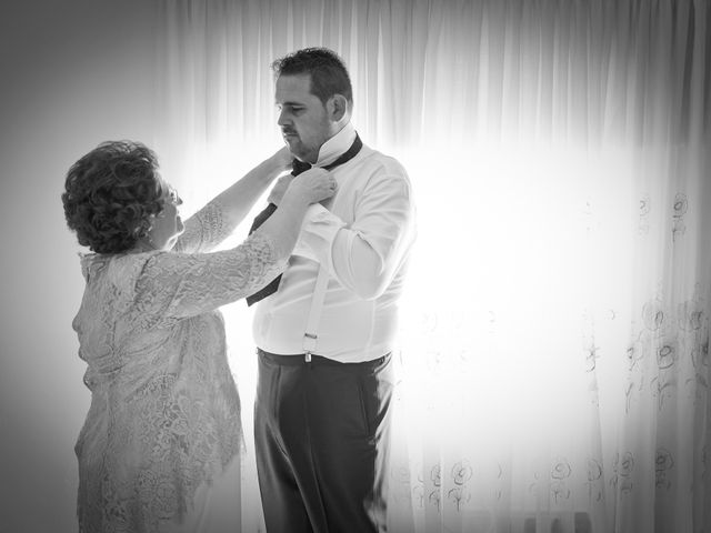 La boda de Francisco Javier y Alicia en Cantillana, Sevilla 8