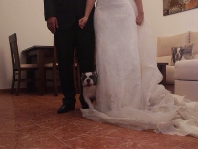 La boda de Antonio  y Estefania  en Cañada Rosal, Sevilla 2