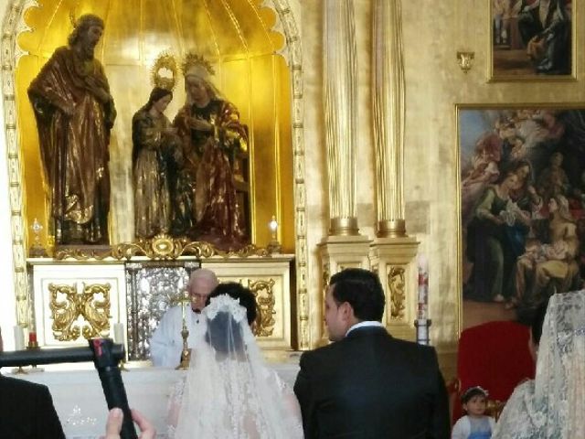 La boda de Antonio  y Estefania  en Cañada Rosal, Sevilla 4