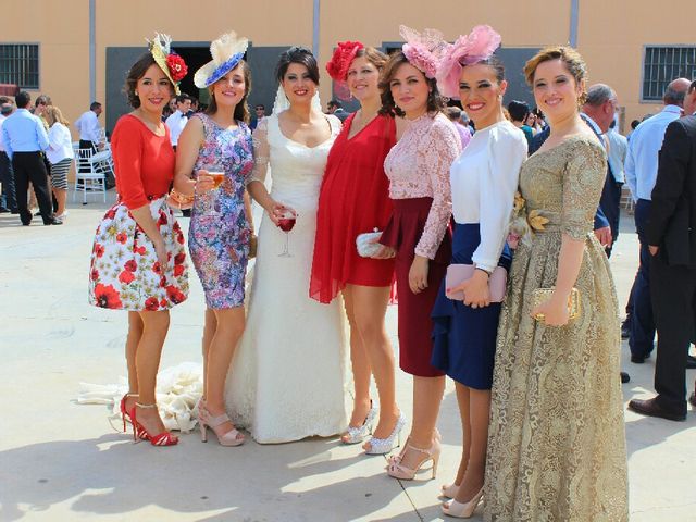 La boda de Antonio  y Estefania  en Cañada Rosal, Sevilla 5