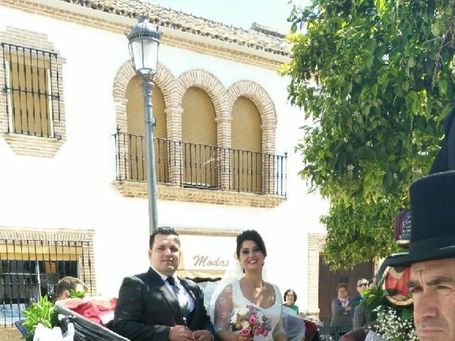 La boda de Antonio  y Estefania  en Cañada Rosal, Sevilla 8