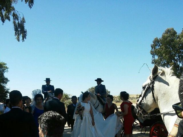 La boda de Sergio y Irene en Garrovillas, Cáceres 8