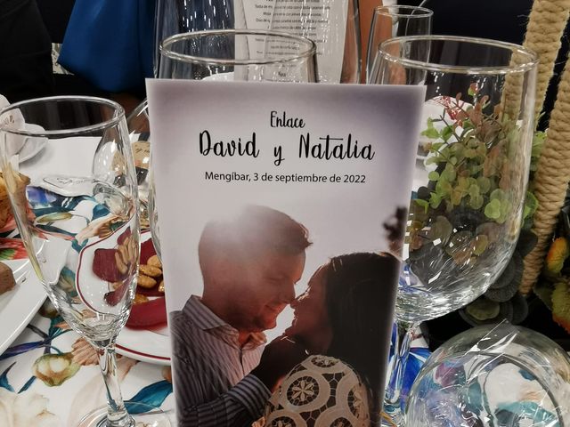 La boda de David  y Natalia  en Mengibar, Jaén 2