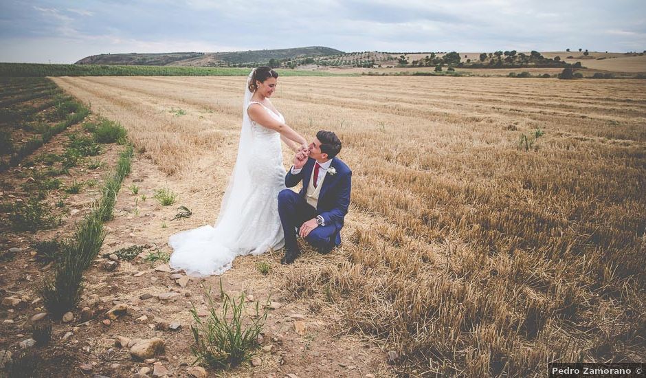 La boda de Carlos y Sheila en Torremocha Del Jarama, Madrid