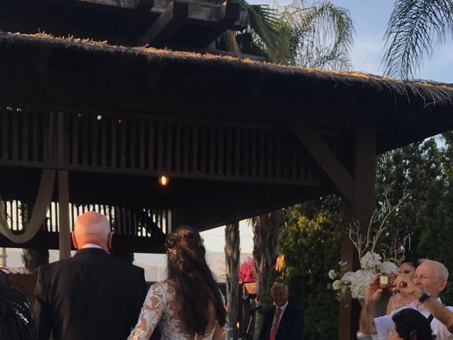 La boda de Lucho  y Flor  en Torre Del Mar, Málaga 3