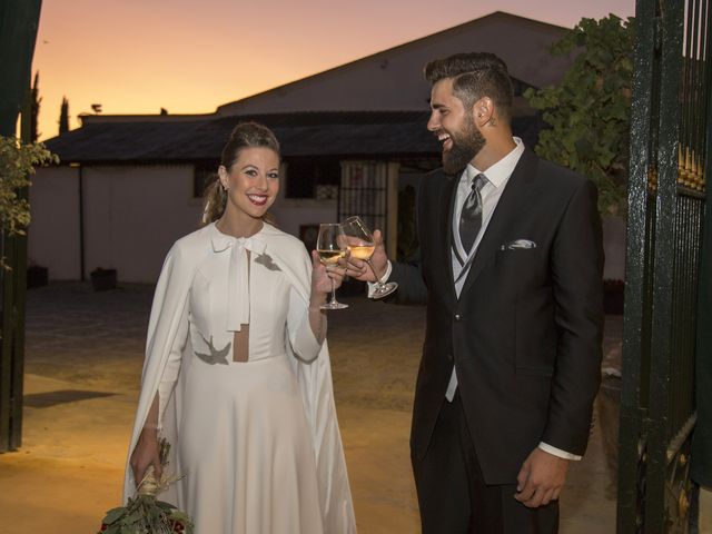 La boda de Diego y Isabel en Jerez De La Frontera, Cádiz 16