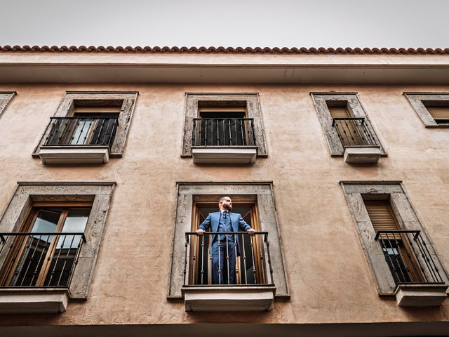 La boda de Victor y Alba en Villarrubia De Los Ojos, Ciudad Real 8