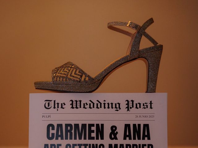 La boda de Ana y Carmen en Pulpi, Almería 3