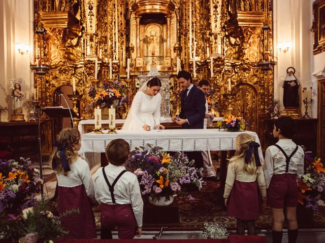 La boda de Juanjo y Alicia en Jerez De La Frontera, Cádiz 24