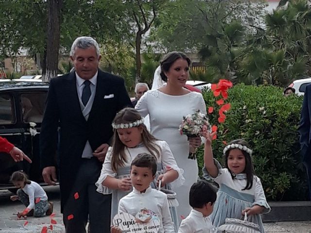 La boda de Fco Javier y Alba en Villafranco Del Guadalquivir, Sevilla 7