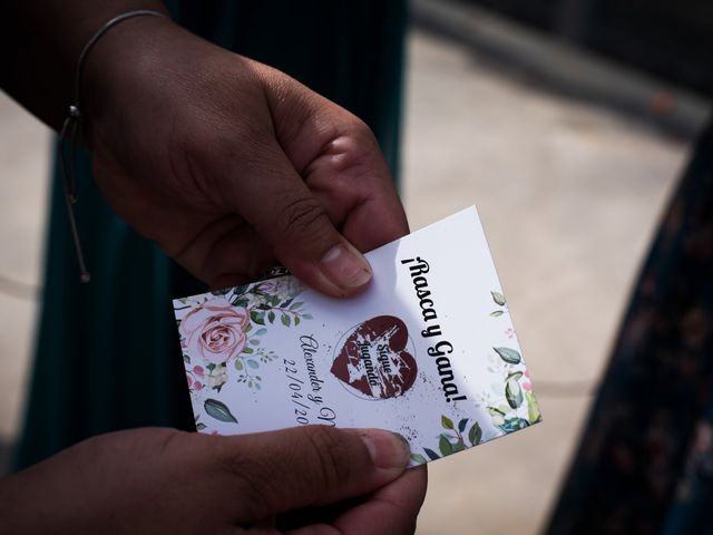 La boda de Alex y María en Puerto Del Rosario, Las Palmas 19