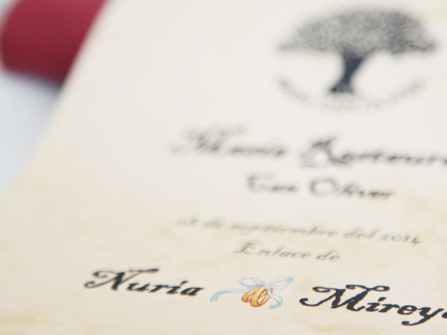 La boda de Núria y Mireya en Montornes Del Valles, Barcelona 17