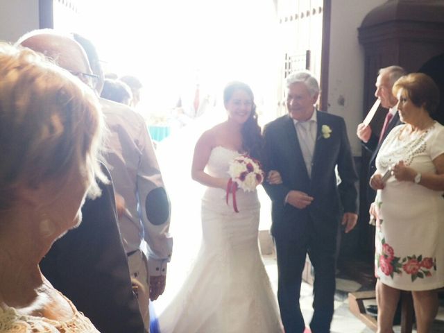 La boda de Angel Manuel Peinado y Salomé Varo en Churriana De La Vega, Granada 10