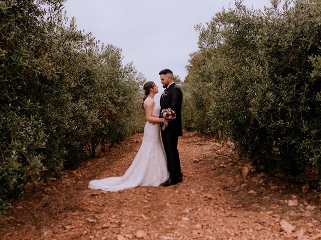 La boda de Raúl y Gemma en Ortigos, Tarragona 237