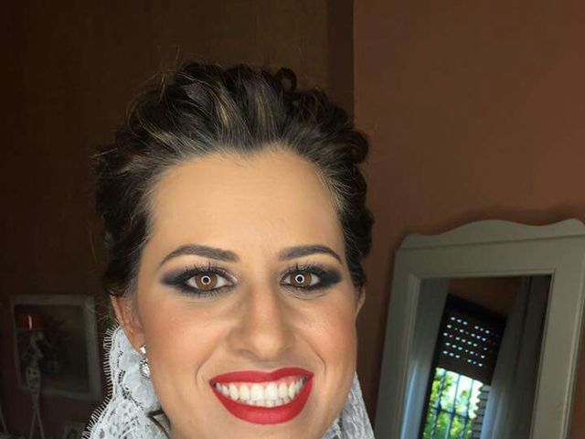 La boda de Migue y Noelia en Almensilla, Sevilla 4