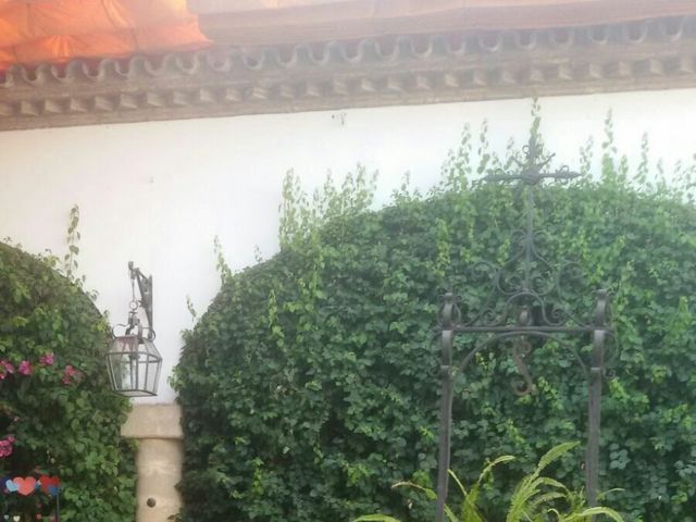 La boda de Marcelo y Estefanía en Jerez De La Frontera, Cádiz 12