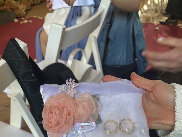 La boda de Dani  y Oana en Santpedor, Barcelona 10