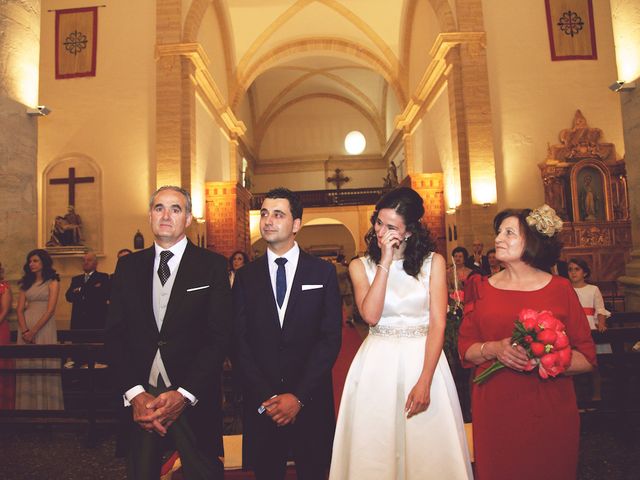 La boda de Paco y Elena en Pedro Muñoz, Ciudad Real 8