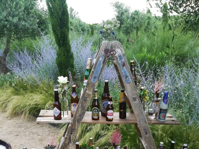 La boda de Iván y Alba en Aranjuez, Madrid 4