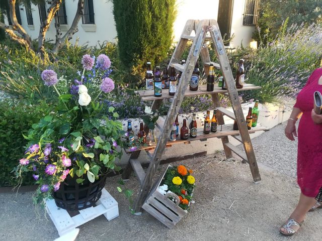 La boda de Iván y Alba en Aranjuez, Madrid 6